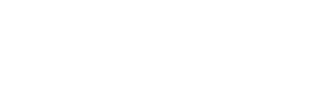 VALOR Group
